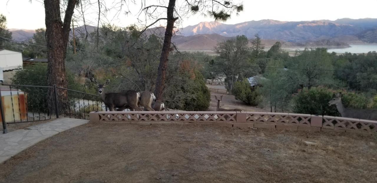 3Br Panoramic Lake View, Sequoia Forest, Kern County Wofford Heights Eksteriør billede